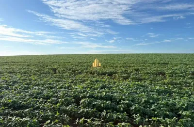 Fazenda à venda na Área Rural de Araxá, Araxá 