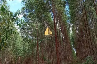 Fazenda à venda na Zona Rural, Grão Mogol 