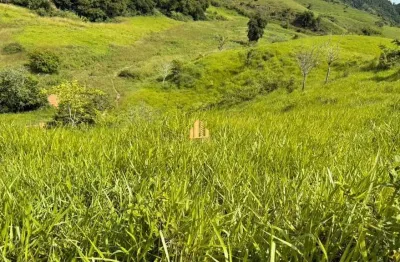 Fazenda de Pecuária à Venda em Rio Casca/MG  50 Hectares com Baixada