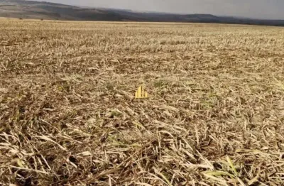 Fazenda à venda na Zona Rural, Sacramento 