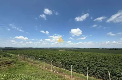 Fazenda cafeeira de grande porte à venda com mais de 500 hectares em café