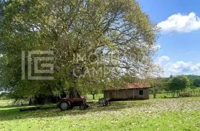 Terreno à venda na 262, 1, zona rural, terenos por r$ 7.000.000