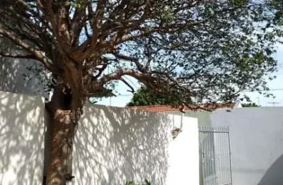 Casa para locação em são josé do rio preto, jardim soraia, 1 dormitório, 1 banheiro, 2 vagas