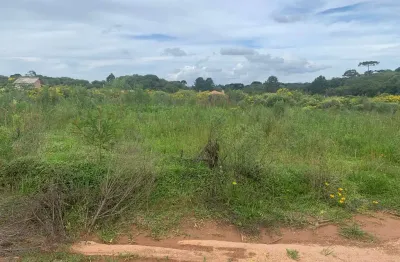 Terreno à venda, campina do taquaral, campo largo da roseira (são josé dos pinhais), pr