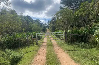 Chácara / sítio com 2 quartos à venda na BR 376, Matulão, Tijucas do Sul