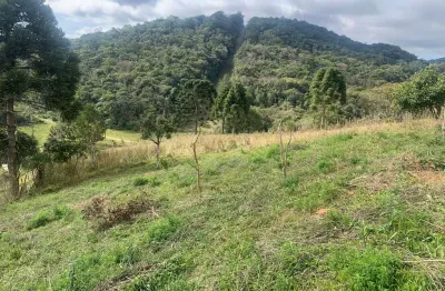 Chácara / sítio com 2 quartos à venda na BR 376, Matulão, Tijucas do Sul