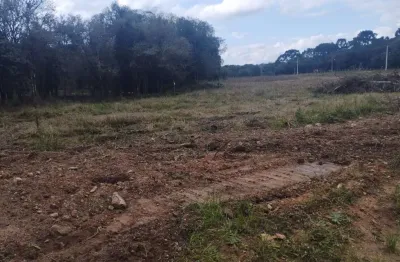 Terreno à venda, área rural de fazenda rio grande, fazenda rio grande, pr