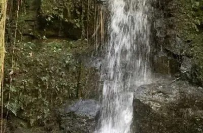 Terreno à venda na rua antônio quintino de almeida, contenda, são josé dos pinhais, 314000 m2 por r$ 500.000
