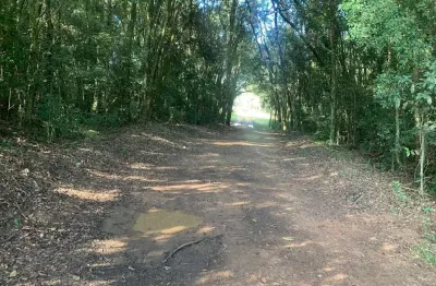 Chácara à venda, roseira do campo largo, campo largo da roseira, pr