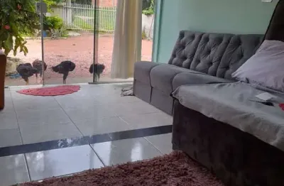 Chácara à venda, área rural de são josé dos pinhais, são josé dos pinhais, pr