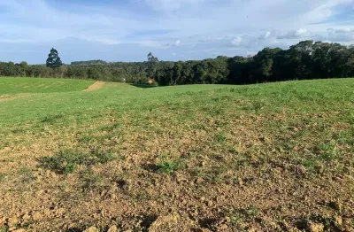 Terreno com 60 mil metros, campo largo da roseira, são josé dos pinhais, pr