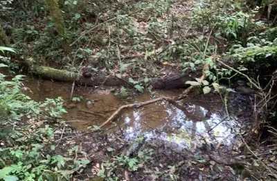 Terreno à venda, campestre da faxina, são josé dos pinhais, pr