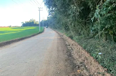 Terreno à venda, campestre da faxina, são josé dos pinhais, pr