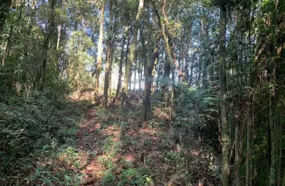 Promoção apenas 200 mil doc. ok, campestre da faxina, são josé dos pinhais, pr