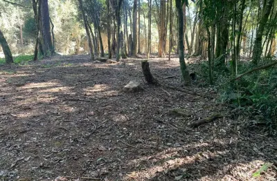 Terreno à venda, campestre da faxina, são josé dos pinhais, pr