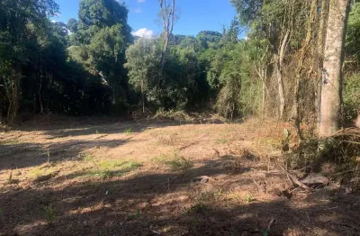 Terreno à venda, colonia marcelino, são josé dos pinhais, pr