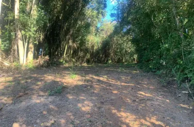 Terreno à venda, colonia marcelino, são josé dos pinhais, pr