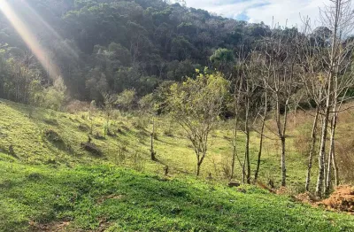 Terreno à venda apenas 300m de estrada de chão, matulão, tijucas do sul, pr