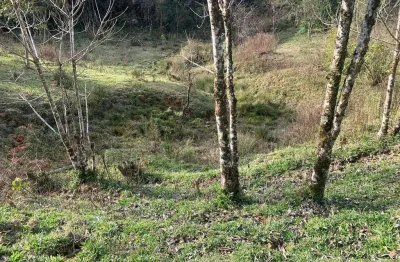 Terreno à venda apenas 300m de estrada de chão, matulão, tijucas do sul, pr
