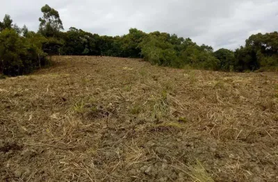 Chácara à venda, roça velha, são josé dos pinhais, pr