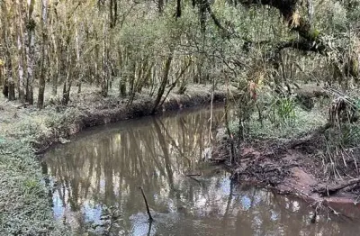 Chácara / sítio à venda na Estrada De Servidão, 2121, Tabatinga, Tijucas do Sul