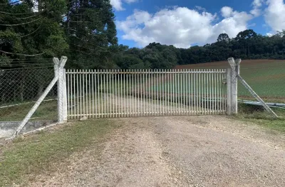 Chácara à venda, colonia marcelino, são josé dos pinhais, pr