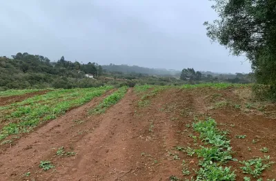 Excelente terreno 100 mil metros, colônia malhada, sjp, pr