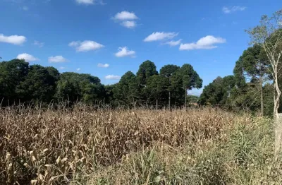 Terreno à venda, campestre da faxina, faxina (são josé dos pinhais), pr