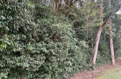 Terreno à venda, campestre da faxina, 58 mil metros , são josé dos pinhais, pr