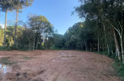 Terreno à venda, roseira de são sebastião, são josé dos pinhais, pr