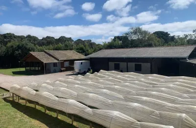 Chácara completa marcelino, são josé dos pinhais, pr
