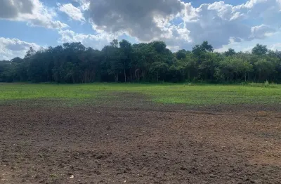 Excelente terreno à venda, área rural de fazenda rio grande, fazenda rio grande, pr