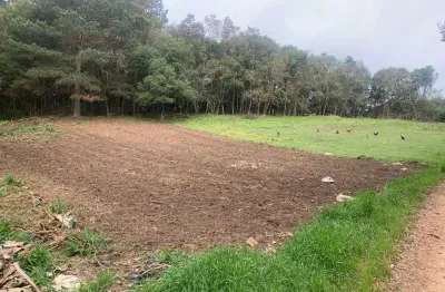 Excelenteterreno à venda, área rural de fazenda rio grande, fazenda rio grande, pr