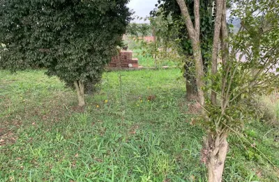 Terreno com casa à venda, ágarau  são josé dos pinhais, são josé dos pinhais, pr