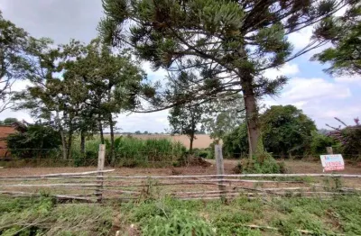 Fazenda/sítio/chácara para venda com 8000 metros quadrados