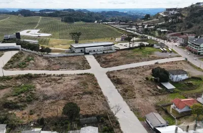 Terreno à venda na vinte e cinco de julho, 26914, centro, flores da cunha por r$ 324.050