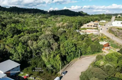 Terreno à venda na diogenes conz, 300, videiras, flores da cunha por r$ 165.050