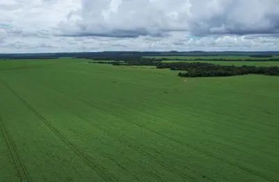 Fazenda 700 hectares com 400 hectares plantando lavoura - mt