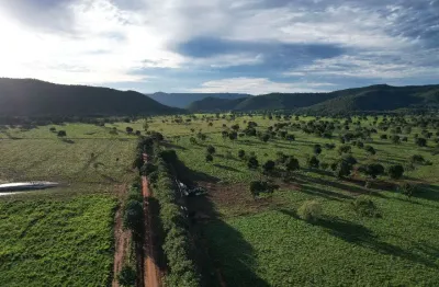 Fazenda 1.300 hectares terra de cultura, dupla aptidão - mt