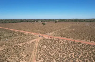 Fazenda a venda 68 hectares dupla aptidão, solo de cultura - mt