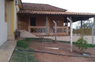 Chácara / sítio com 6 quartos à venda no Centro, São José do Rio Preto 