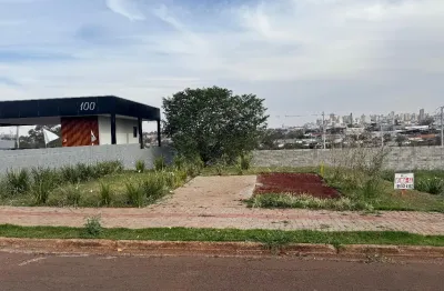 Terreno 294m² em londrina, faz fundo para condomínio fechado
