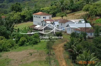Fazenda à venda na rodovia ba 001, 1, zona rural, camamu, 2750000 m2 por r$ 4.500.000