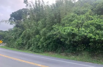 Terreno em condomínio fechado à venda na estrada francisco thomas dos santos, morro das pedras, florianópolis, 3845 m2 por r$ 1.300.000
