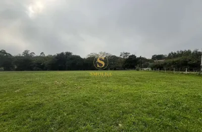 Terreno em condomínio fechado à venda na rua intendente antônio damasco, ratones, florianópolis, 9918 m2 por r$ 5.500.000