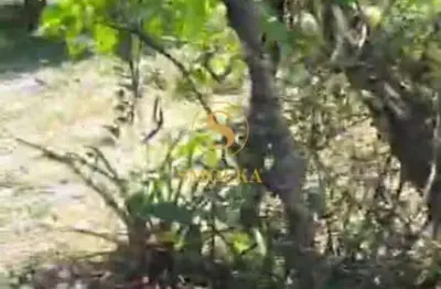 Terreno em condomínio fechado à venda na servidão biguá, capoeiras, florianópolis, 300 m2 por r$ 692.000