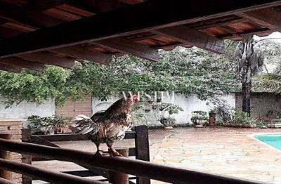 Chácara com 2 dormitórios à venda, 3000 m² por r$ 550.000,00 - vila azul (zona rural) - são josé do rio preto/sp