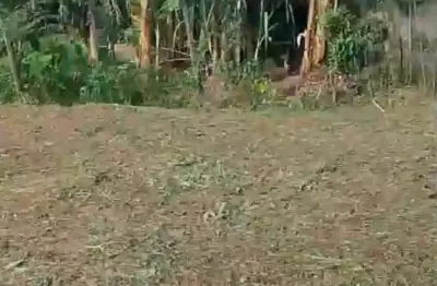 Terreno à venda na Praça Barão de Tinguá, 1, Tinguá, Nova Iguaçu