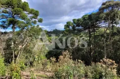 Lote com incríveis 3350 m² de área - local muito reservado com contato total com a natureza!