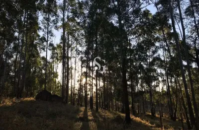 Terreno em condomínio fechado à venda na estrada sousas-pedreira, s/n, sousas, campinas por r$ 1.050.000